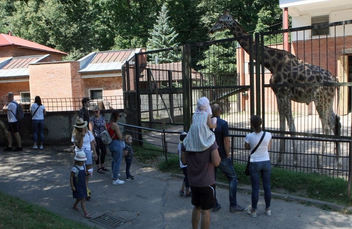 Zoologijos sode Kaune – paskutinė darbo diena prieš užsidarant renovacijai