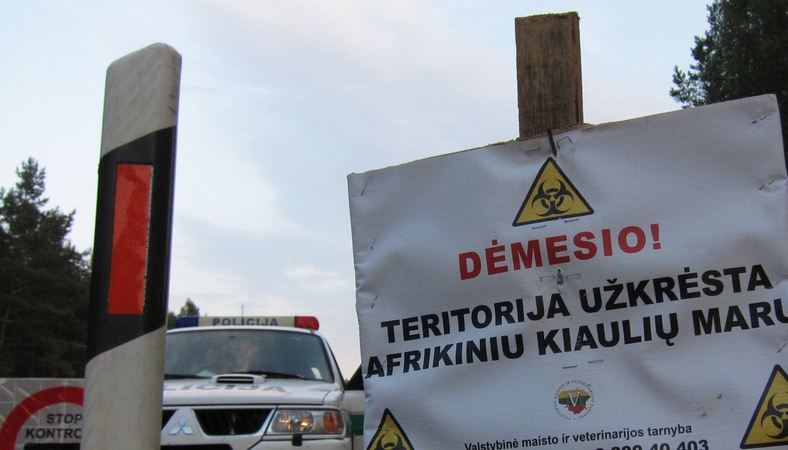 ŽŪM keičia paramos sumas kiaulių marui suvaldyti