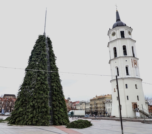 Katedros aikštėje jau kyla Kalėdų eglė