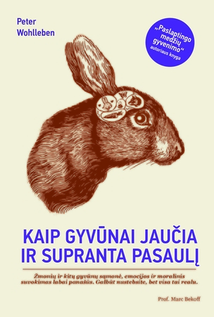 Gamta P. Wohllebeno knygose: tarp nuostabos ir kartojimosi