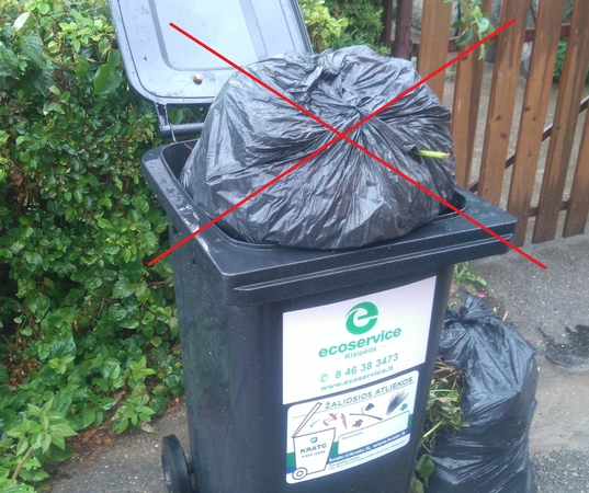 Žaliųjų atliekų sezonas prasidėjo: ką verta žinoti?