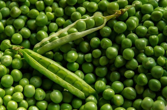 Ankštinių augalų bumas turėtų smukti kitąmet