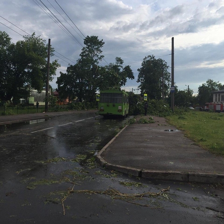 Kaune škvalas smogė Panemunei ir Vilijampolei, Palemone dingo elektra      