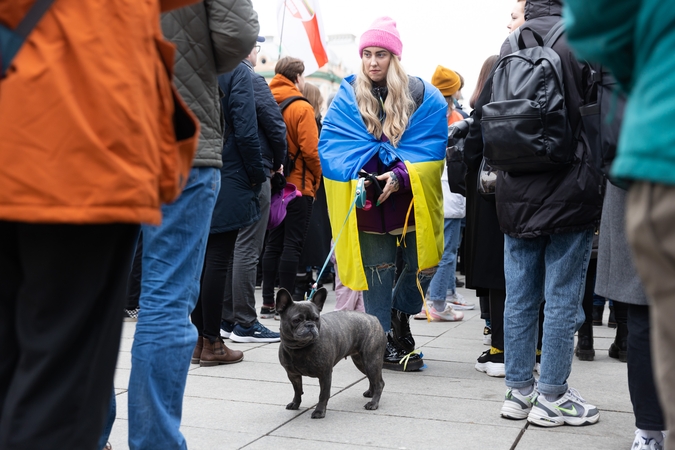 Prie Vyriausybės – mitingas palaikyti Ukrainą: raginama ekonomiškai neremti šalių agresorių