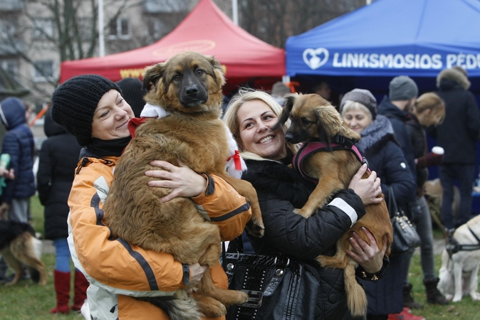 Klaipėdoje Kalėdų senelis aplankė keturkojus