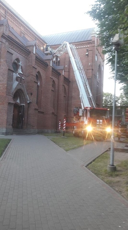 Palangos bažnyčią atakavo bitės