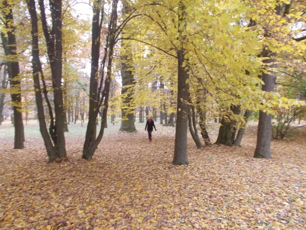 Praėjęs spalis ir visi 10 šių metų mėnesių viršijo oro temperatūros rekordus