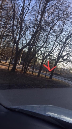 Moteris po automobilio ratai puolė šioje vietoje