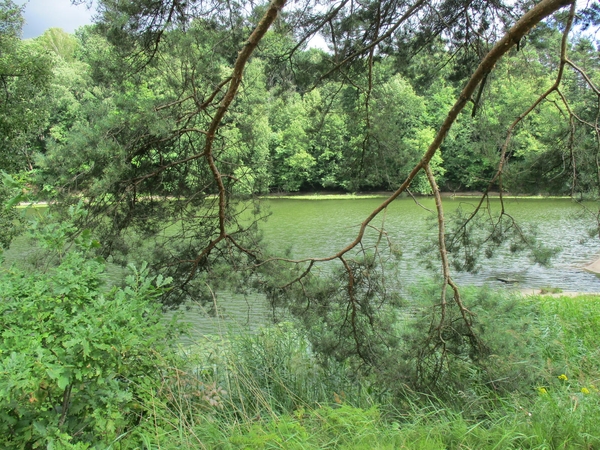 Orai savaitgalį nenustebins
