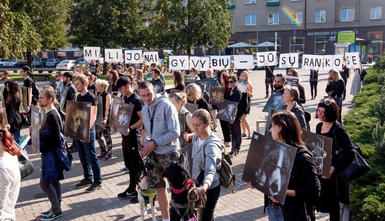 Protestas prie Seimo: parlamentarams parodyti gyvūnų lavonai
