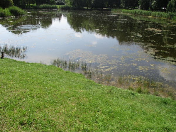 Šakių rajone tvenkinyje nuskendo moteris