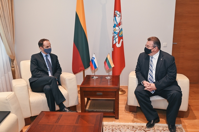 Anže Logaras ir Linas Linkevičius