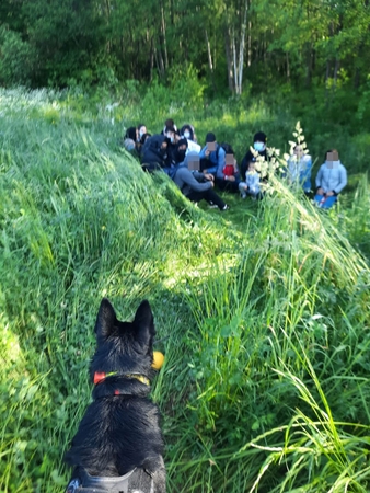 Dėl didėjančių migrantų srautų iš Baltarusijos Lietuvoje paskelbta ekstremalioji situacija