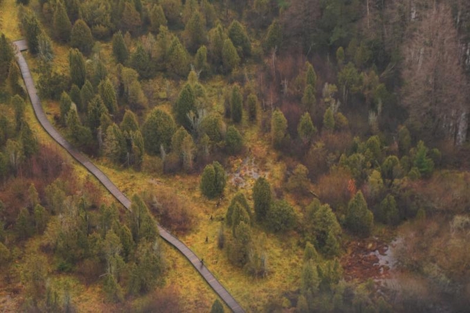 Šauklių riedulynas