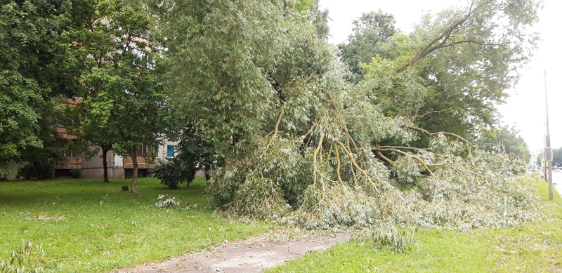Ugniagesiai per parą 18 kartų vyko šalinti nuvirtusių medžių