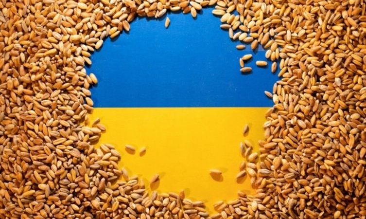 Rusai iš okupuotų Ukrainos teritorijų išvežė beveik 5 mln. tonų grūdų