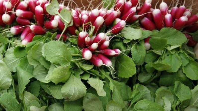 Sergate diabetu – valgykite ridikėlius