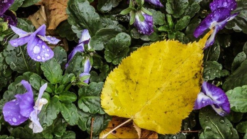 Orai: laukia itin nemalonus pirmadienis