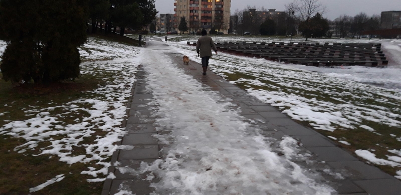 Ši moteris savo augintinio išmatas surinko