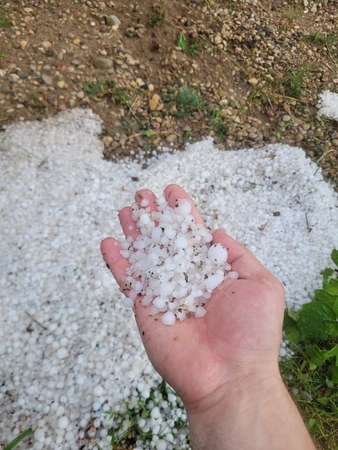 Gamta ir toliau stebina: gegužės pabaigoje – 2 cm dydžio ledėkai