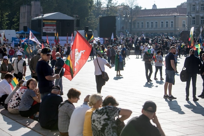 Mini sociologinis tyrimas: vyksta politinė mobilizacija