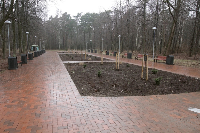 Poilsio parke – nuoga egzekucija