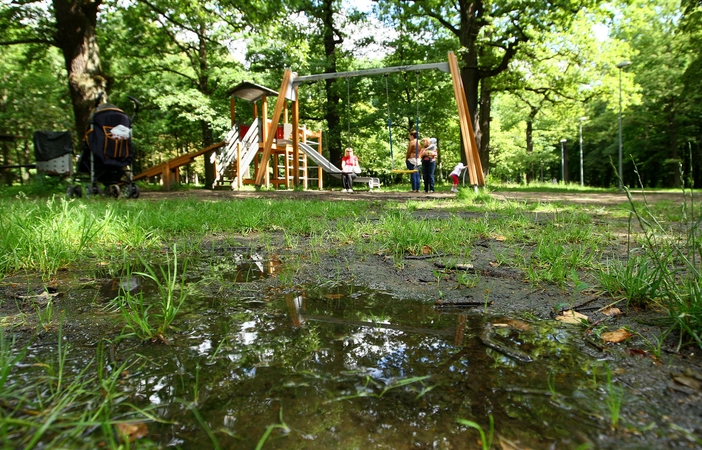 Kada Ąžuolyne iškylausime kaip Haid parke?