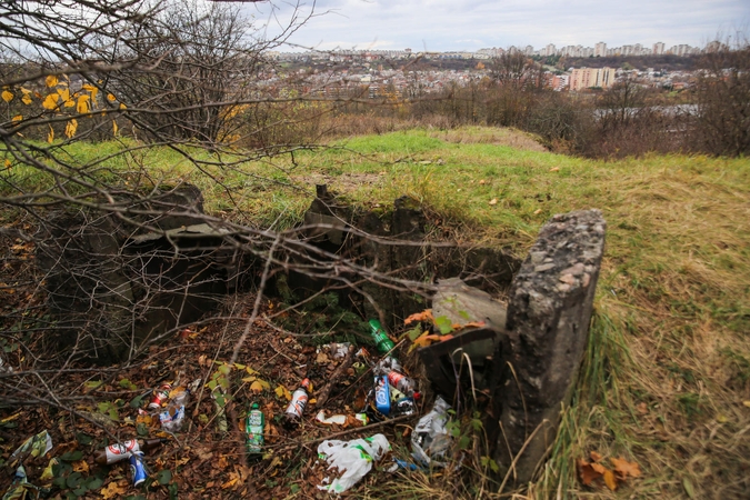 Kauno panoramoje atgims piliakalnių plikės?