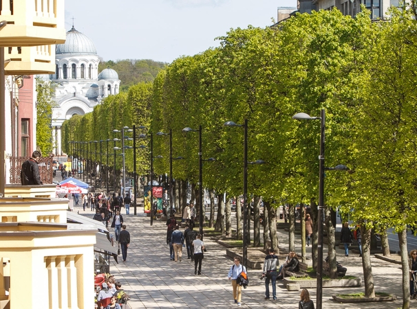 Laisvės alėjos rekonstrukcija: ar neįgalieji nebus pamiršti?