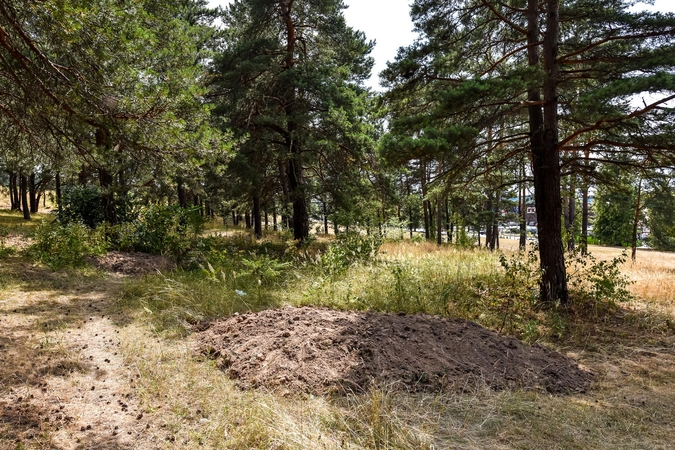 Tvarkdariai kauniečiams sukėlė įtarimų