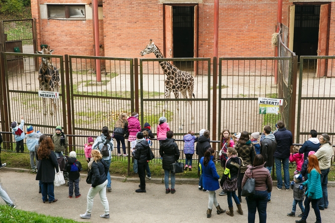 Zoologijos sode – paslaptinga naujovė