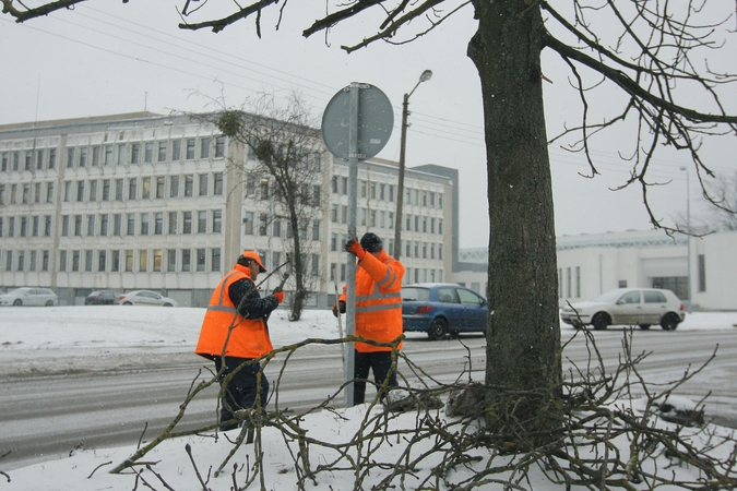 Kiemus okupuoja studentų automobiliai
