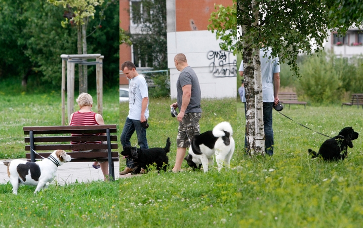 Sąjūdžio parkas – vieta košmarams