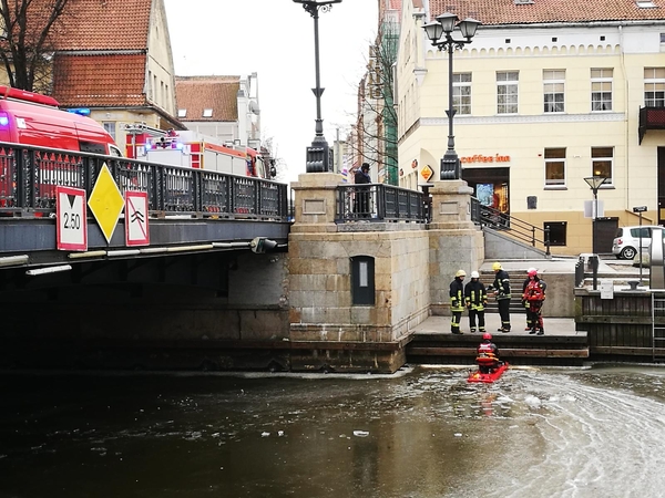 Nejudanti gulbė Klaipėdos centre suklaidino praeivius