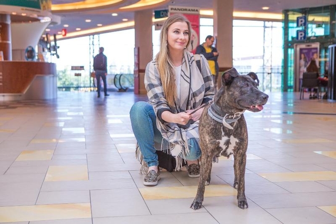 Būrys žymių žmonių kviečia padėti likimo nuskriaustiems gyvūnams