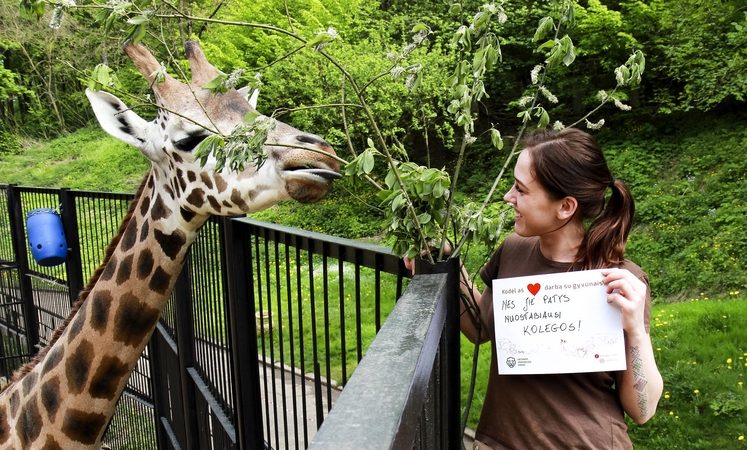 Zoologijos sode – galimybė išbandyti egzotiškiausią darbą