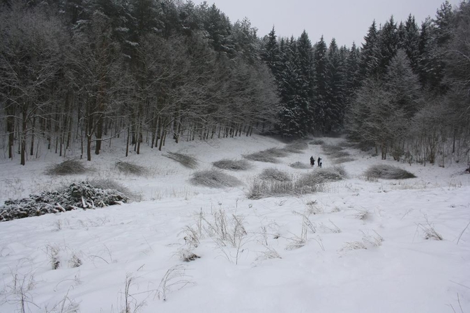 Gražinamas Pavilnių regioninis parkas