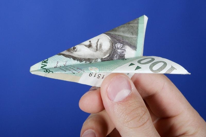 VAE šiemet neteisėtai įsigijo paslaugų už 30 mln. litų
