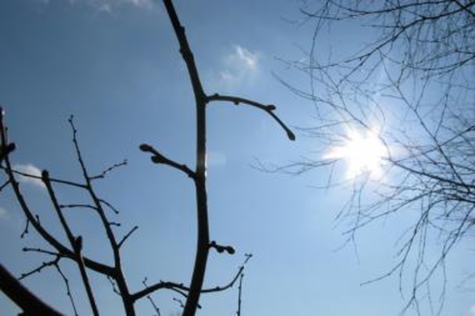 Orai: savaitgalį į Lietuvą atkeliavo tikras pavasaris