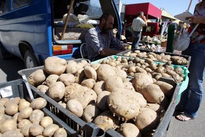 Dalis Lietuvos bulvių augintojų tikisi užsidirbti Rusijoje 