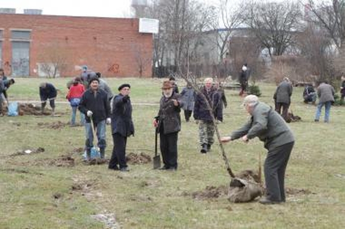 Klaipėdiečiai mieste pasodino medelių
