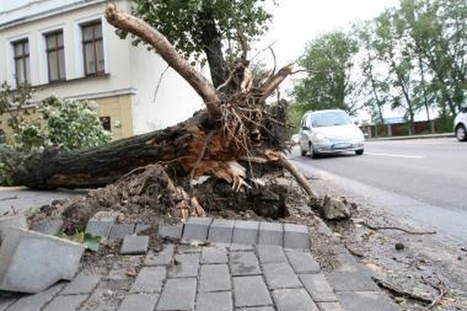 Trečiadienio audros nuostoliai skaičiuojami tūkstančiais