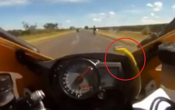 Milžinišku greičiu skriejantį motociklą vairuoti padėjo gyvatė