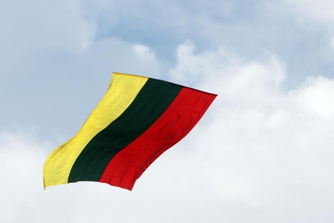 Vilniuje prasidėjo metinis Lietuvos ambasadorių suvažiavimas