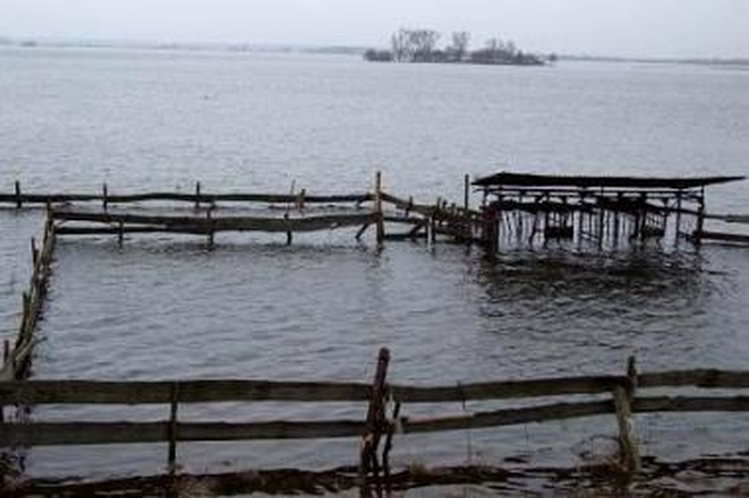 Pamaryje daugėja apsemtų sodybų 