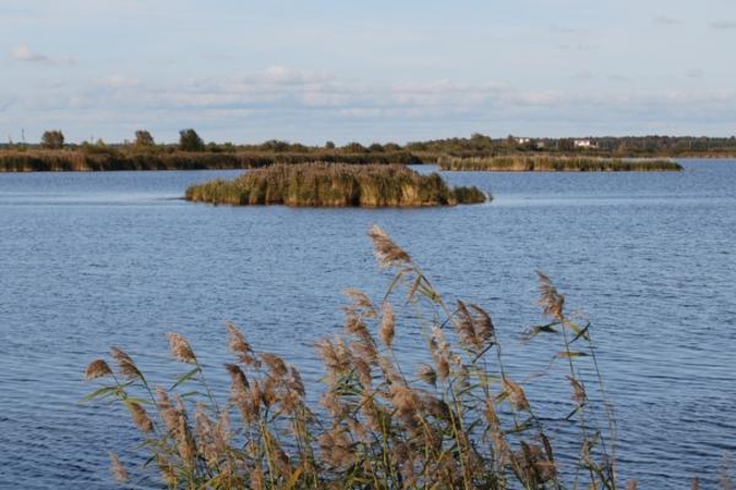 Kuršių mariose skendo žmogus 