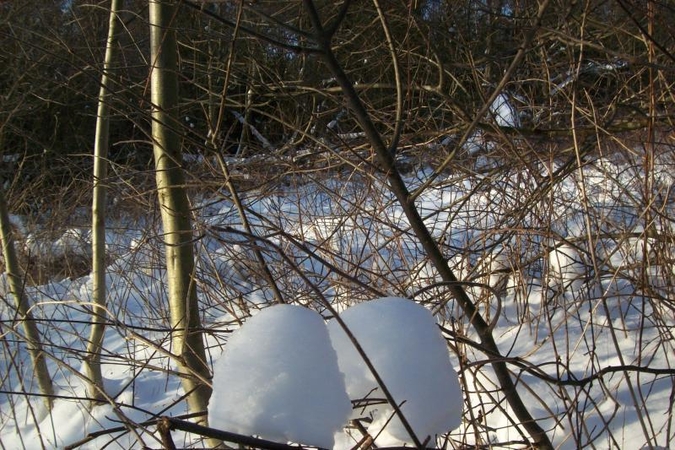 Šalčininkų miškuose rastas nušautas jaunuolis