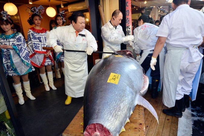 Japonijos aukcione vienas tunas parduotas už 736 tūkst. JAV dolerių