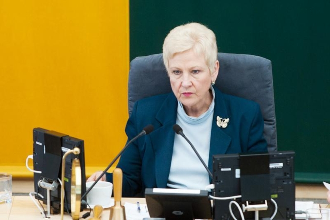 I.Degutienė: priėmus Seimo narių darbo sąlygų įstatymą tvarkos būtų daugiau