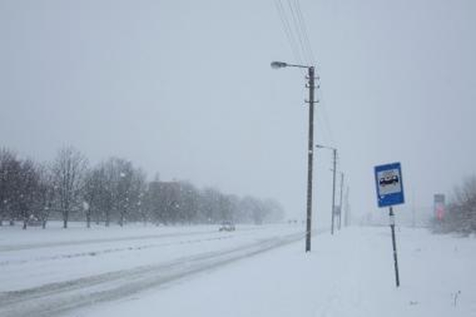 Balta žiema nuklojo miesto gatves